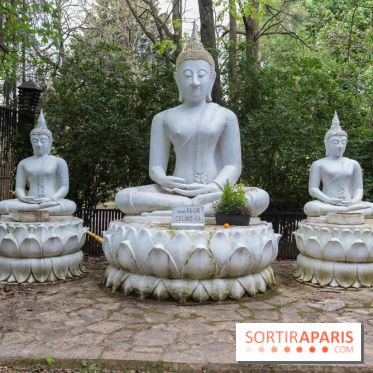 Wat Thammapatip Inrernational : la pagode bouddhiste et sa street food thaï, à Moissy-Cramayel - 024D160D 6207 4F1D B793 94EDF5315D31
