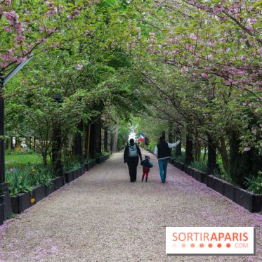 Wat Thammapatip Inrernational : la pagode bouddhiste et sa street food thaï, à Moissy-Cramayel - EA0A1E4A BA57 4367 A20B CA7CB783ACEE