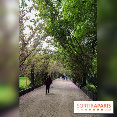 Wat Thammapatip Inrernational : la pagode bouddhiste et sa street food thaï, à Moissy-Cramayel - 46BBD488 AE64 4018 804F A19357A1C24A