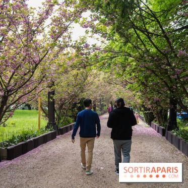 Wat Thammapatip Inrernational : la pagode bouddhiste et sa street food thaï, à Moissy-Cramayel - 95914580 96CD 4D0F 8382 82E2A9B28465