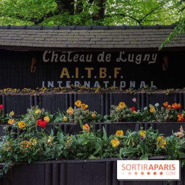 Wat Thammapatip Inrernational : la pagode bouddhiste et sa street food thaï, à Moissy-Cramayel - 3DC586FA 7060 48B0 AD7F 1C23771FF575