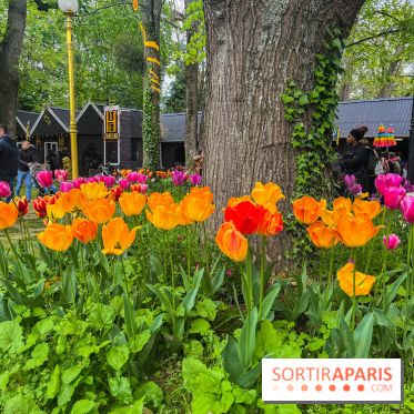 Wat Thammapatip Inrernational : la pagode bouddhiste et sa street food thaï, à Moissy-Cramayel - 7B05D330 C2F9 4E62 81CA D27DF09FD9AD