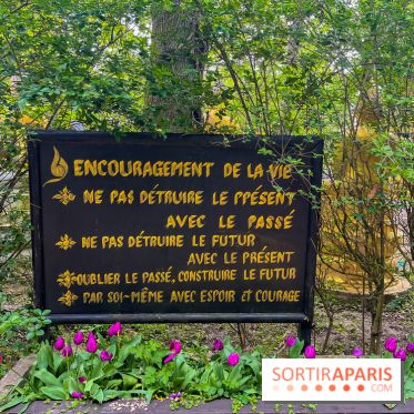 Wat Thammapatip Inrernational : la pagode bouddhiste et sa street food thaï, à Moissy-Cramayel - FD8822C6 BE73 4FBD A93F 1788D09FA0F7