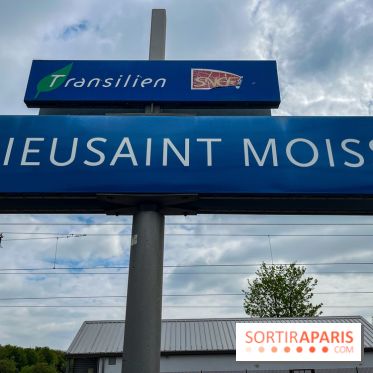 Wat Thammapatip Inrernational : la pagode bouddhiste et sa street food thaï, à Moissy-Cramayel - 26484506 F5FF 4C68 8171 DD142B525057