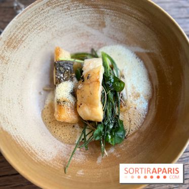 Géosmine - Turbot poireaux