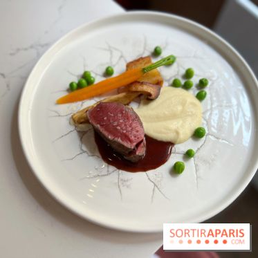 Akabeko - Bœuf charolais