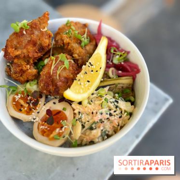 Nakatsu - Donburi karaage