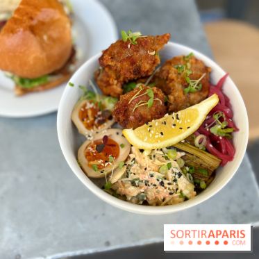 Nakatsu - Donburi karaage