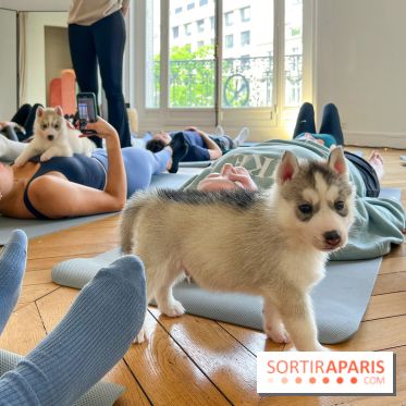 Puppy Yoga