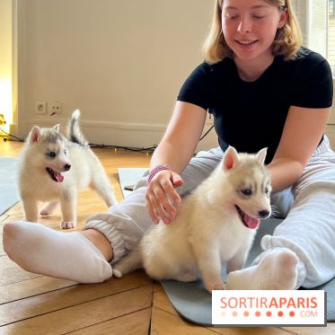 Puppy Yoga