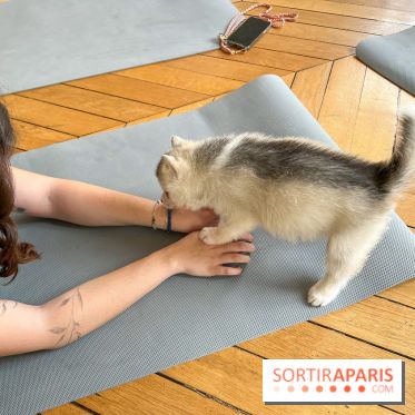 Puppy Yoga