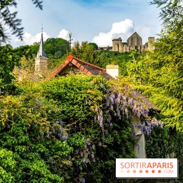 Le Château de la Madeleine à Chevreuse  -  A7C3910