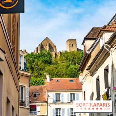 Le Château de la Madeleine à Chevreuse  -  A7C3914