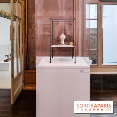 Exposition ASensitiv de Warren à l'Institut Giacometti - nos photos - IMG 20230515 114029