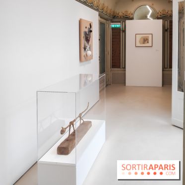 Exposition ASensitiv de Warren à l'Institut Giacometti - nos photos - IMG 20230515 114126