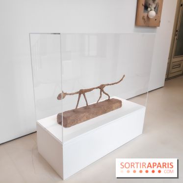 Exposition ASensitiv de Warren à l'Institut Giacometti - nos photos - IMG 20230515 114130