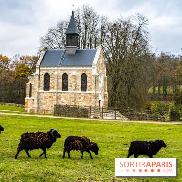 Domaine National de Port-Royal des Champs dans les Yvelines -  A7C3207