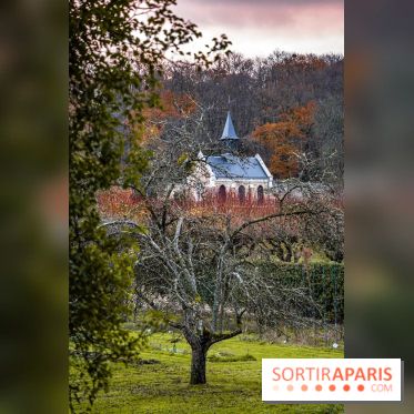Domaine National de Port-Royal des Champs dans les Yvelines -  A7C3230