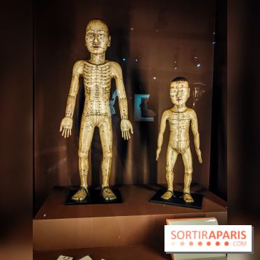 Médecines d'Asie, l'art de l'équilibre : l'exposition bien-être étonnante du musée Guimet - photos