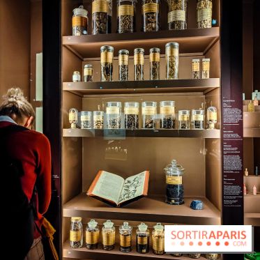 Médecines d'Asie, l'art de l'équilibre : l'exposition bien-être étonnante du musée Guimet - photos - IMG20230516105503