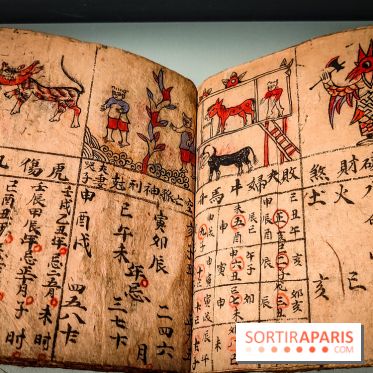 Médecines d'Asie, l'art de l'équilibre : l'exposition bien-être étonnante du musée Guimet - photos - IMG20230516110452