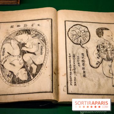 Médecines d'Asie, l'art de l'équilibre : l'exposition bien-être étonnante du musée Guimet - photos - IMG20230516111436