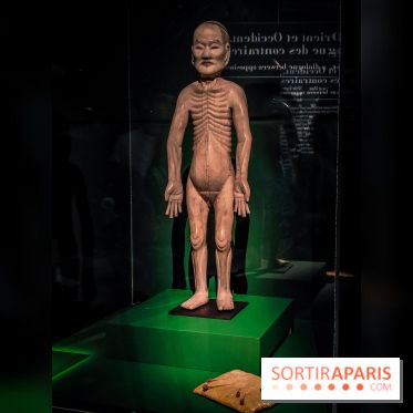 Médecines d'Asie, l'art de l'équilibre : l'exposition bien-être étonnante du musée Guimet - photos - IMG20230516111355