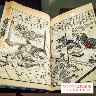 Médecines d'Asie, l'art de l'équilibre : l'exposition bien-être étonnante du musée Guimet - photos - IMG20230516104911