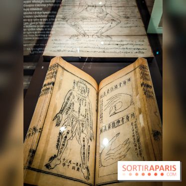 Médecines d'Asie, l'art de l'équilibre : l'exposition bien-être étonnante du musée Guimet - photos - IMG20230516105123