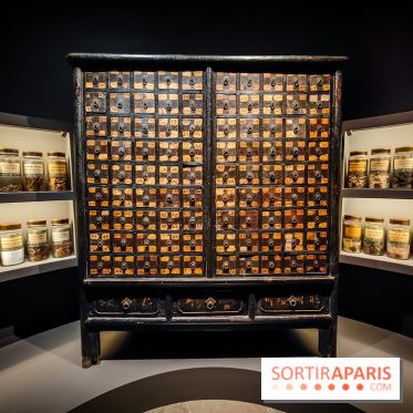 Médecines d'Asie, l'art de l'équilibre : l'exposition bien-être étonnante du musée Guimet - photos - IMG20230516105630