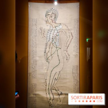 Médecines d'Asie, l'art de l'équilibre : l'exposition bien-être étonnante du musée Guimet - photos - IMG20230516103045