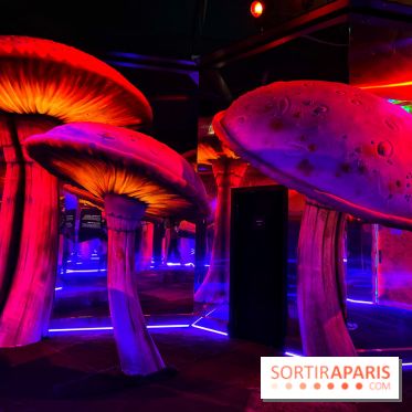 Le labyrinthe de Tim Burton - IMG 2567