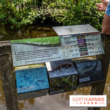 Sentier découverte de Maincourt - Vallée de Chevreuse -  A7C4067