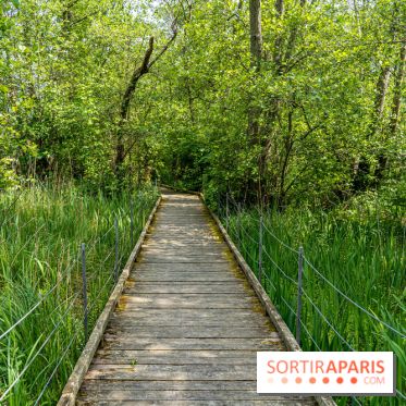 Sentier découverte de Maincourt - Vallée de Chevreuse -  A7C4080