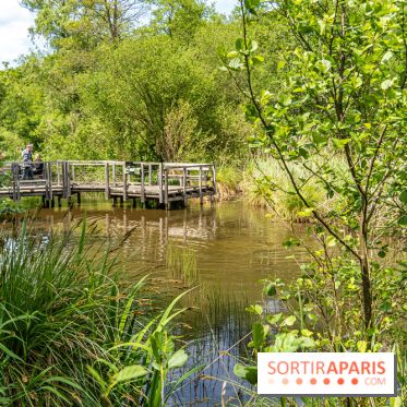 Sentier découverte de Maincourt - Vallée de Chevreuse -  A7C4081