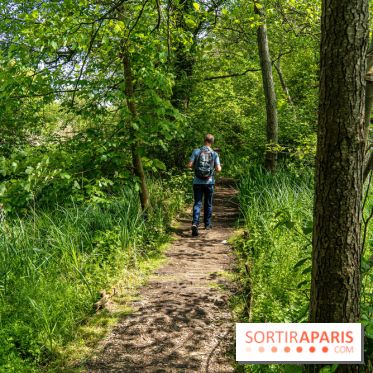 Sentier découverte de Maincourt - Vallée de Chevreuse -  A7C4085