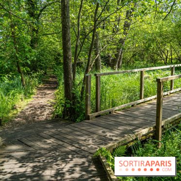 Sentier découverte de Maincourt - Vallée de Chevreuse -  A7C4086