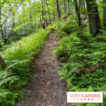 Sentier découverte de Maincourt - Vallée de Chevreuse -  A7C4097