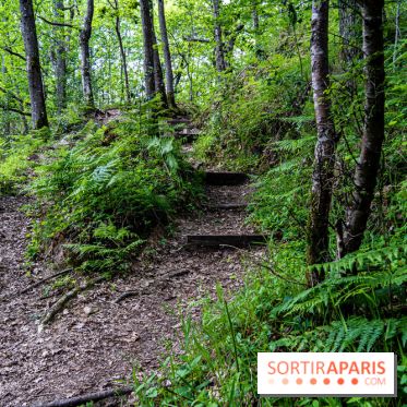 Sentier découverte de Maincourt - Vallée de Chevreuse -  A7C4098