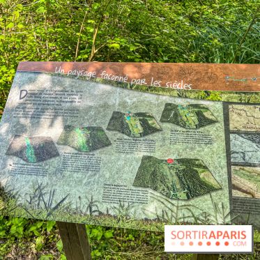 Sentier découverte de Maincourt - Vallée de Chevreuse - IMG 7034