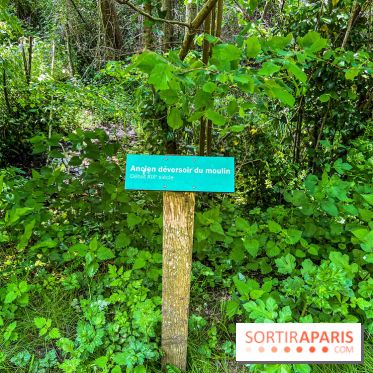 Sentier découverte de Maincourt - Vallée de Chevreuse - IMG 7035