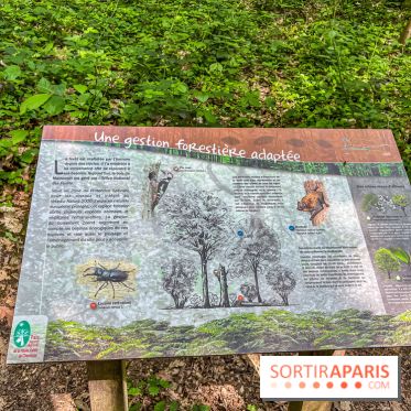 Sentier découverte de Maincourt - Vallée de Chevreuse - IMG 7055