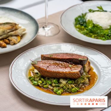 Hotel Alfred Sommier Paris -  A7C3342