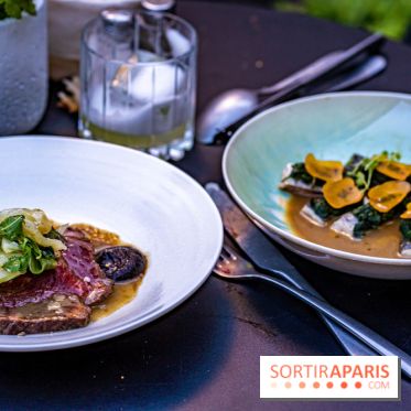 Fabula Paris, la terrasse du Musée Carnavalet par Julien Dumas et Remy Savage -  A7C4000