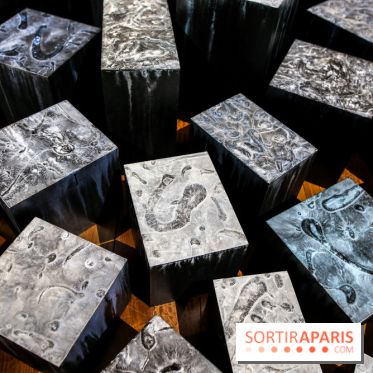 Carte blanche à Park Dong Soo au musée Guimet, nos photos - IMG 0099