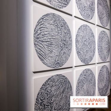 Carte blanche à Park Dong Soo au musée Guimet, nos photos - IMG 0102