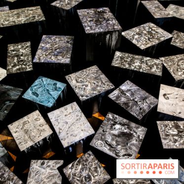 Carte blanche à Park Dong Soo au musée Guimet, nos photos - IMG 0104