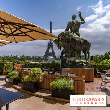 Le Café de l'Homme rouvre ses portes avec une nouvelle déco et une nouvelle carte gourmande -  terrasse