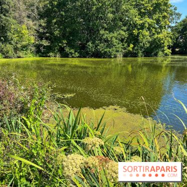 visuel jardins