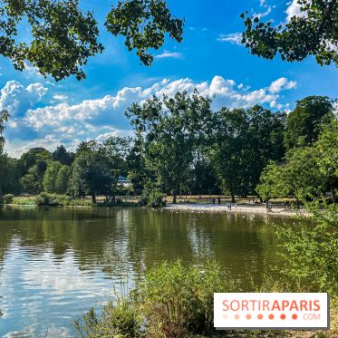 Visuel forêt  - IMG 5163